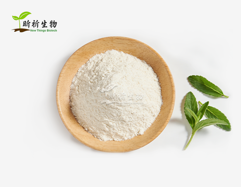 Bulk Stevia Extract Powder